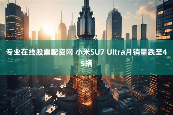 专业在线股票配资网 小米SU7 Ultra月销量跌至45辆